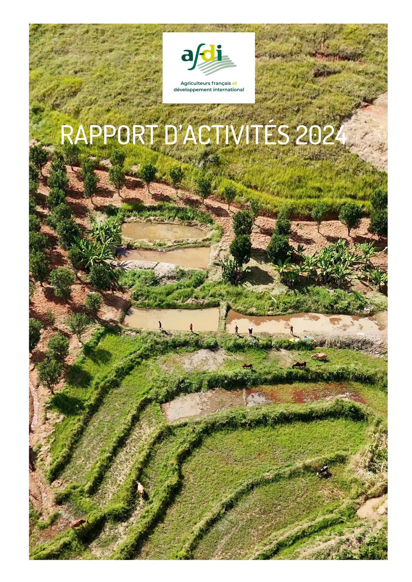 Afdi-RAPPORT D’ACTIVITÉS 2024