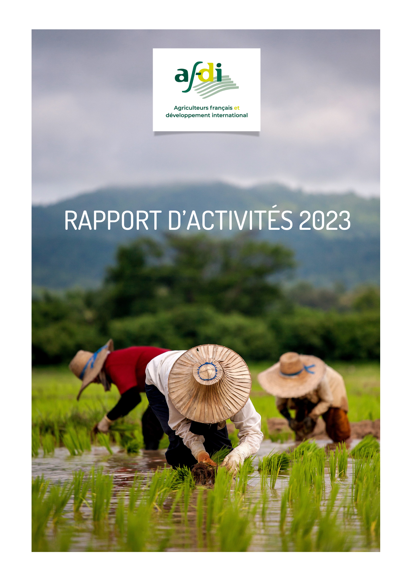 RAPPORT D’ACTIVITÉS 2023