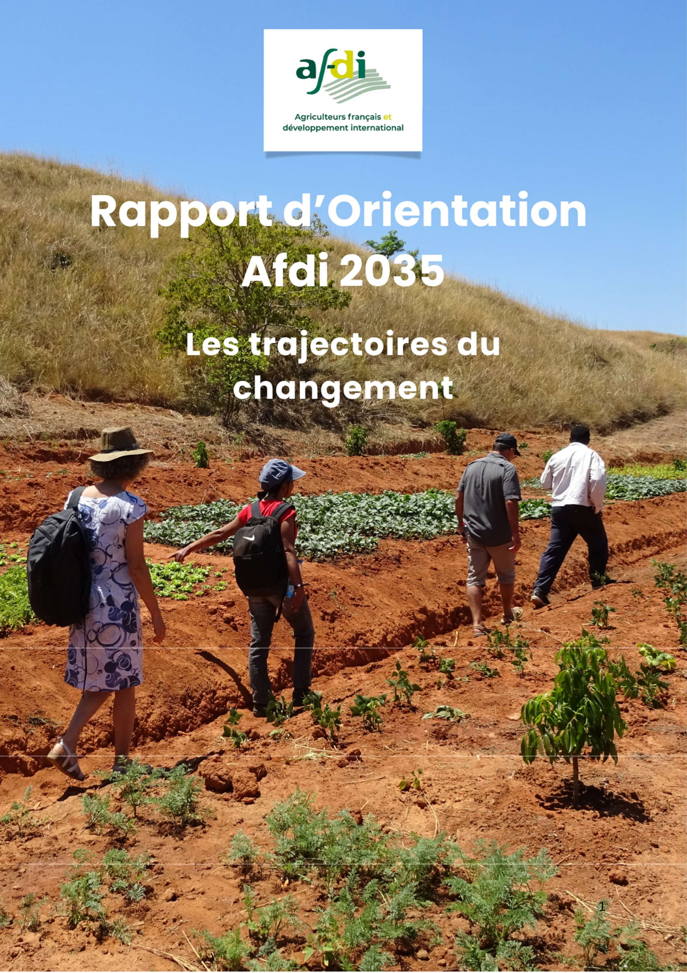 Rapport d'orientation Afdi 2035.pdf