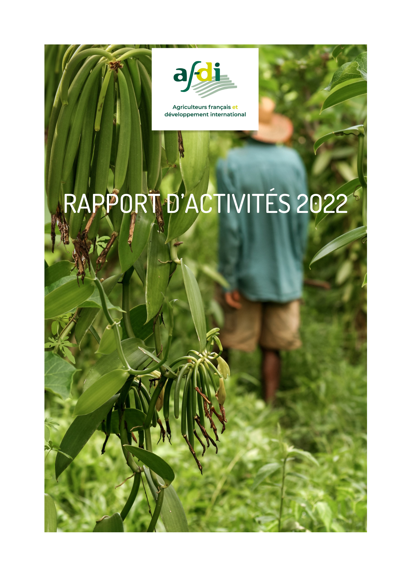 Afdi-RAPPORT D’ACTIVITÉS 2022