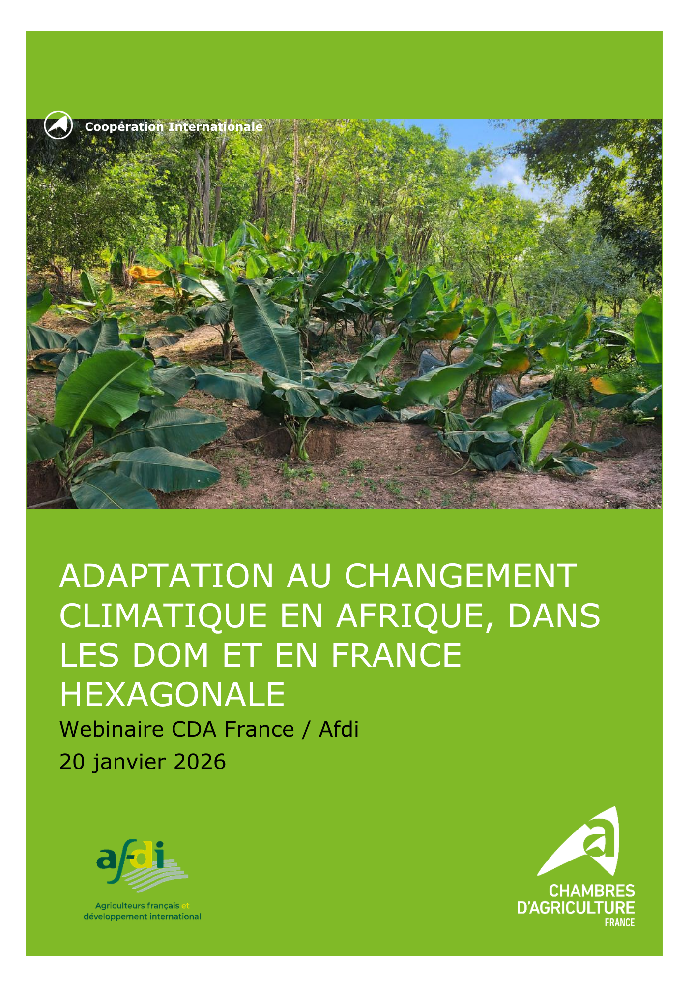 2026_ActesWebinaire_Adaptation changement climatique.pdf