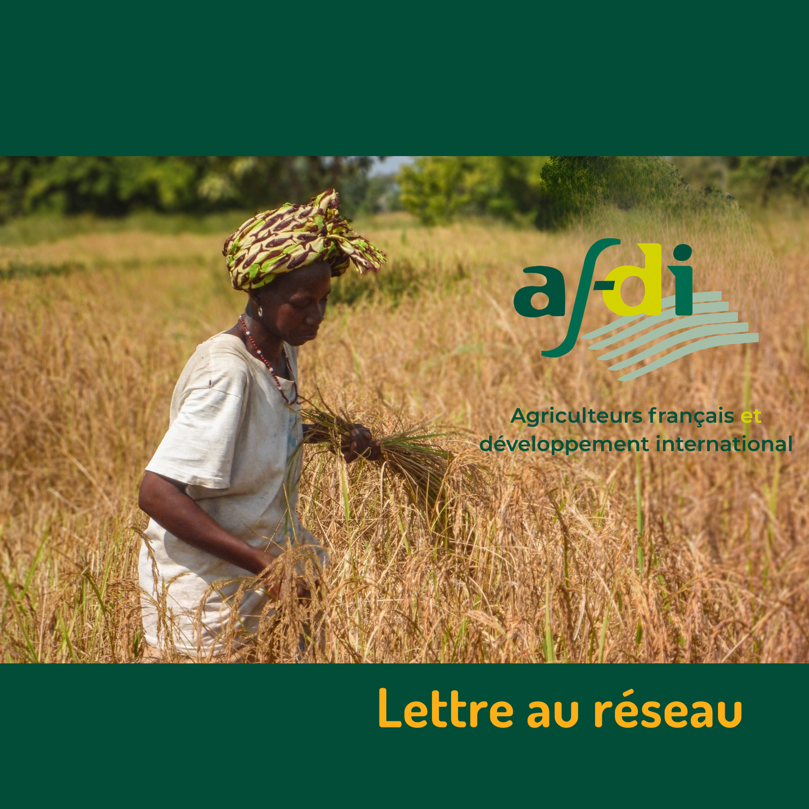 Lettre au réseau-Afdi