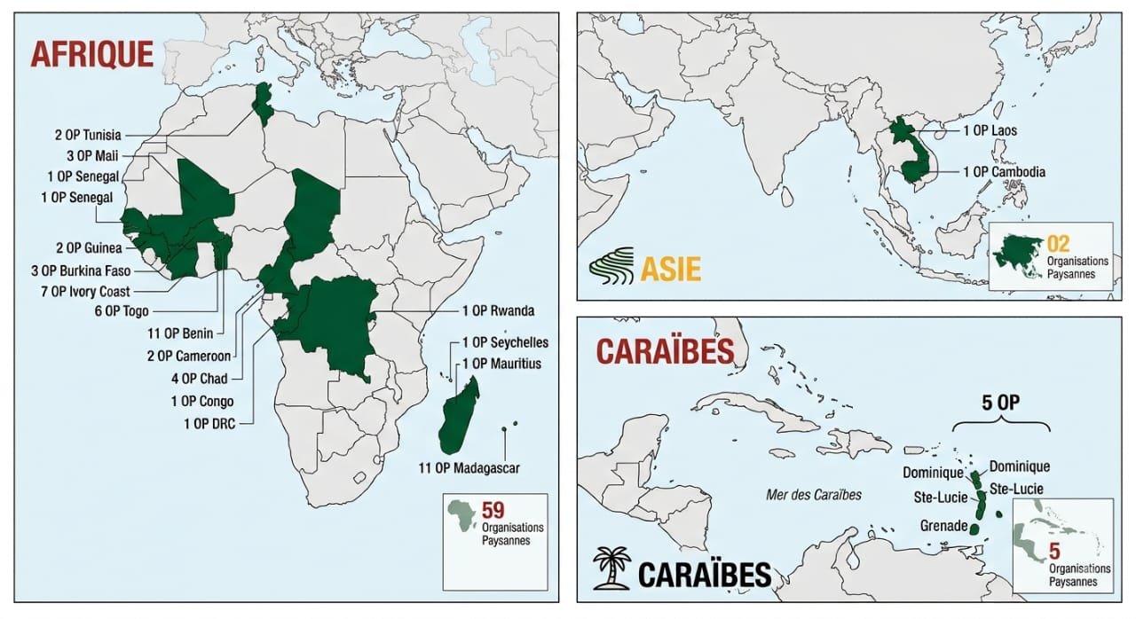 Carte des op afdi par continent